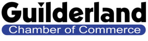 Guilderland Chamber of Commerce- In Business for Business
