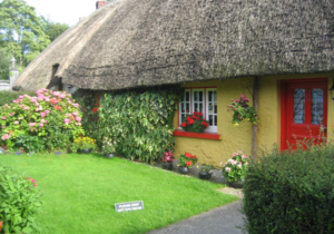 Irish home